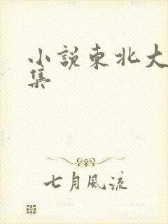 小说东北大炕全集封面