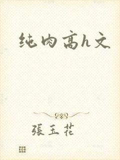 纯肉高h文