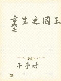 重生之国王的微笑封面