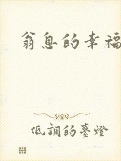 翁息的幸福封面