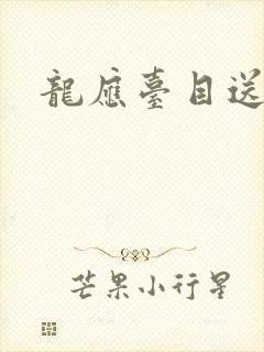 龙应台目送封面