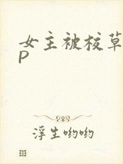 女主被校草们NP
