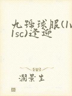 九号球服(1v1sc)逢迎
