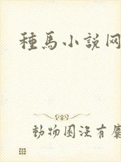 种马小说网