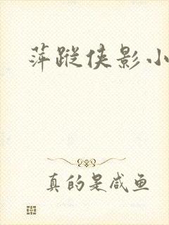 萍踪侠影小说封面