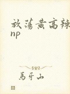 放荡黄高辣h文np