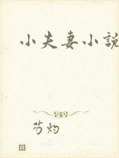 小夫妻小说封面