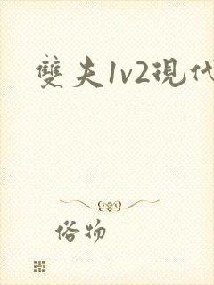 双夫1v2现代封面