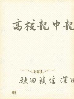 高校龙中龙