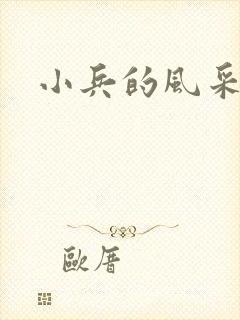 小兵的风采封面