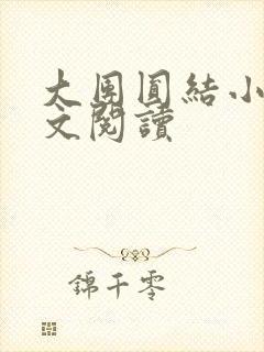 大团圆结小茹全文阅读封面