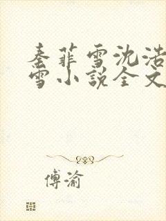 秦菲雪沈浩秦菲雪小说全文免费阅读求书