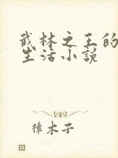 武林之王的退隐生活小说