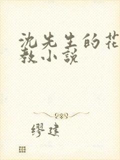 沈先生的花式调教小说