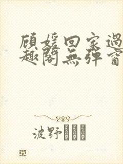 顾媛回家过年笔趣阁无弹窗