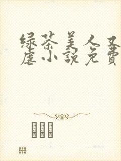 绿茶美人又在求虐小说免费阅读笔趣阁封面