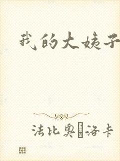 我的大姨子