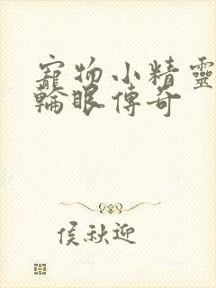 宠物小精灵之写轮眼传奇