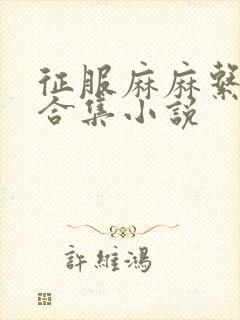 征服麻麻系列大合集小说