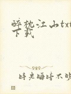 醉枕江山txt下载封面