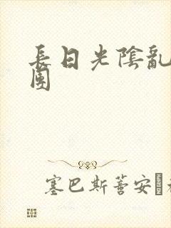 长日光阴乱作一团封面