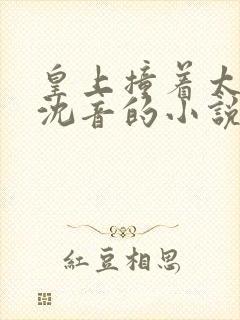 皇上撞着太子妃沈音的小说叫什么