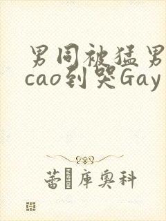 男同被猛男房东cao到哭Gay