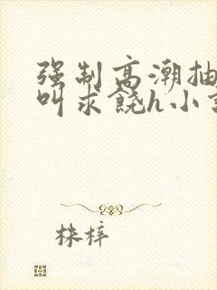 强制高潮抽搐哭叫求饶h小说