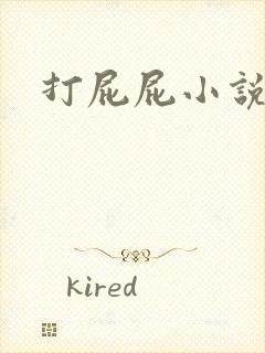 打屁屁小说