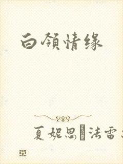白领情缘