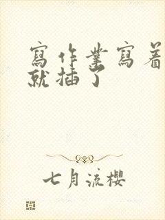 写作业写着写着就插了