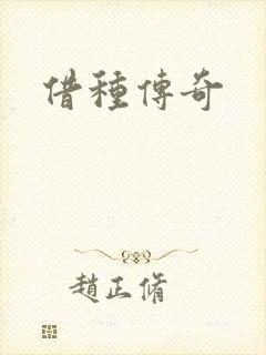 借种传奇封面