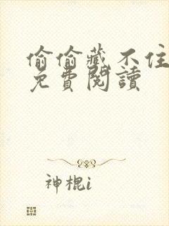 偷偷藏不住小说免费阅读封面