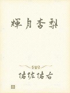 辉月杏梨封面
