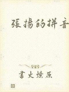 张扬的拼音封面