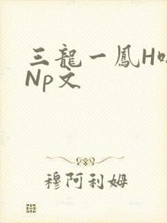 三龙一凤H啪肉Np文