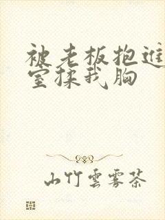 被老板抱进办公室揉我胸