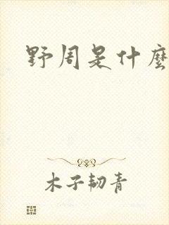 野周是什么意思