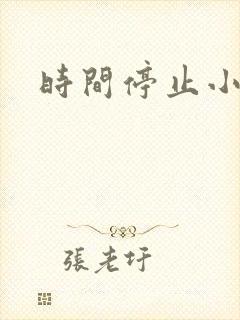 时间停止小说封面