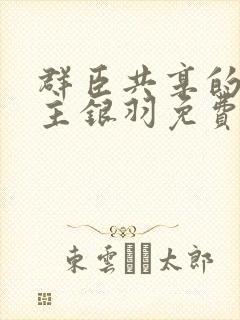 群臣共享的小公主银羽免费阅读封面