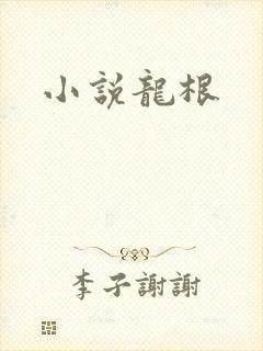 小说龙根封面