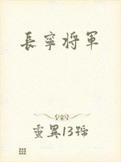 长宁将军