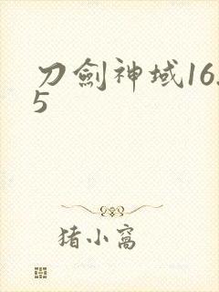 刀剑神域16.5