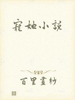 宠她小说