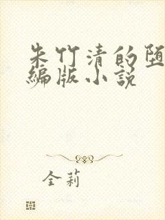 朱竹清的堕落改编版小说封面