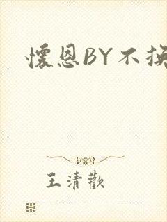 怀恩BY不换