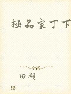 极品家丁下载封面