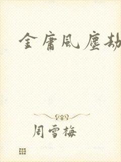 金庸风尘劫