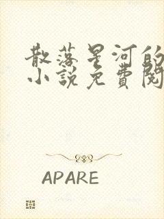 散落星河的记忆小说免费阅读全文封面