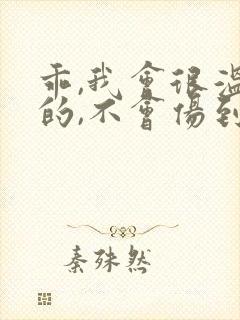 乖,我会很温柔的,不会伤到你小说封面